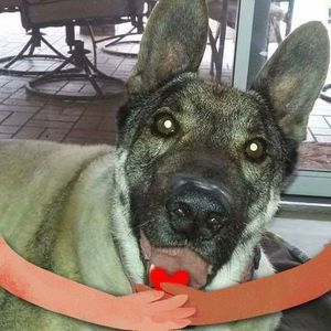 Meet your Posher, Ana